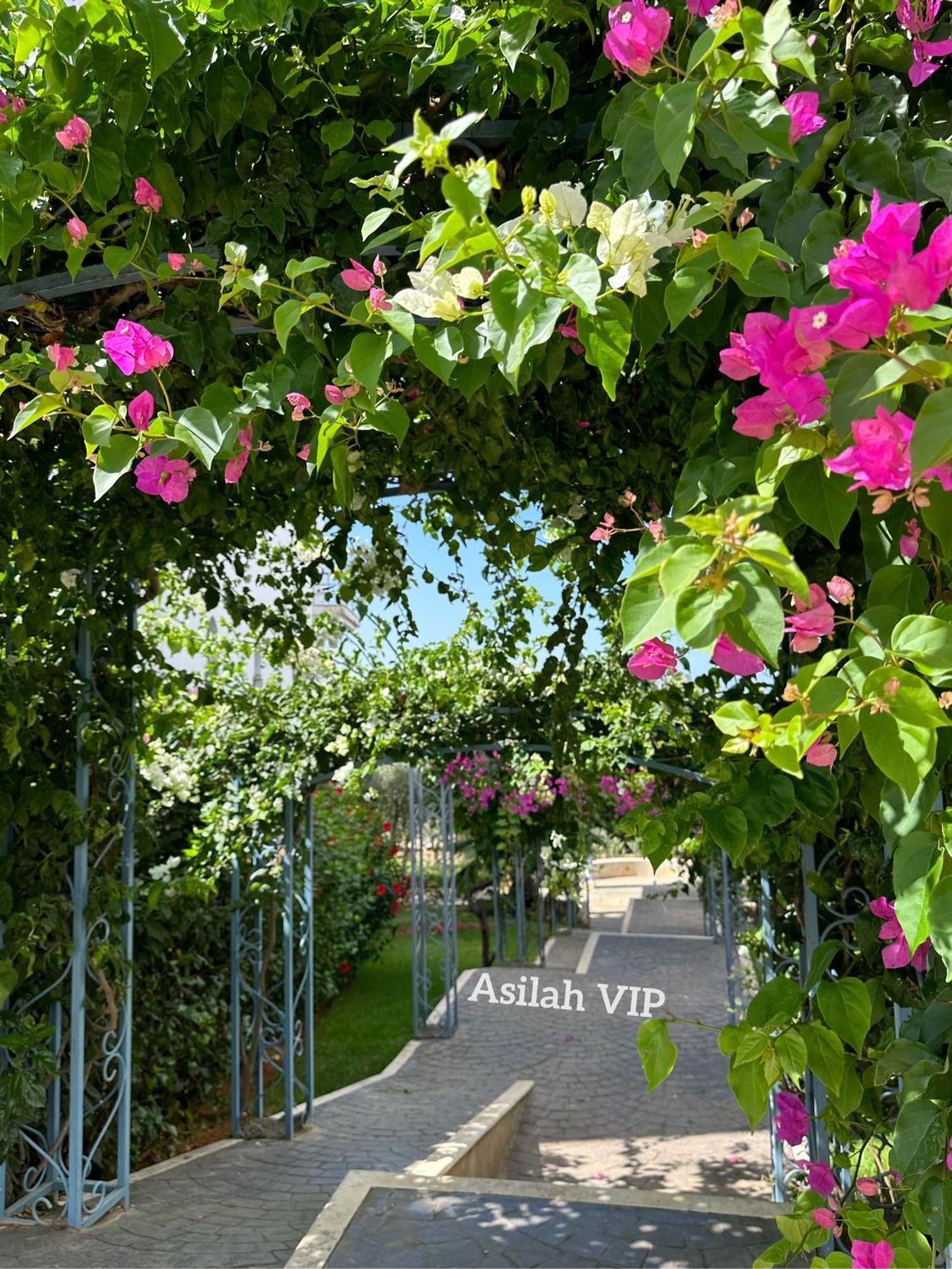 Asilah Vip - Haut Standing - Vue Mer - Piscines - Plage A 5 Minute - Garage Privee - Acces Pmr Exterior photo